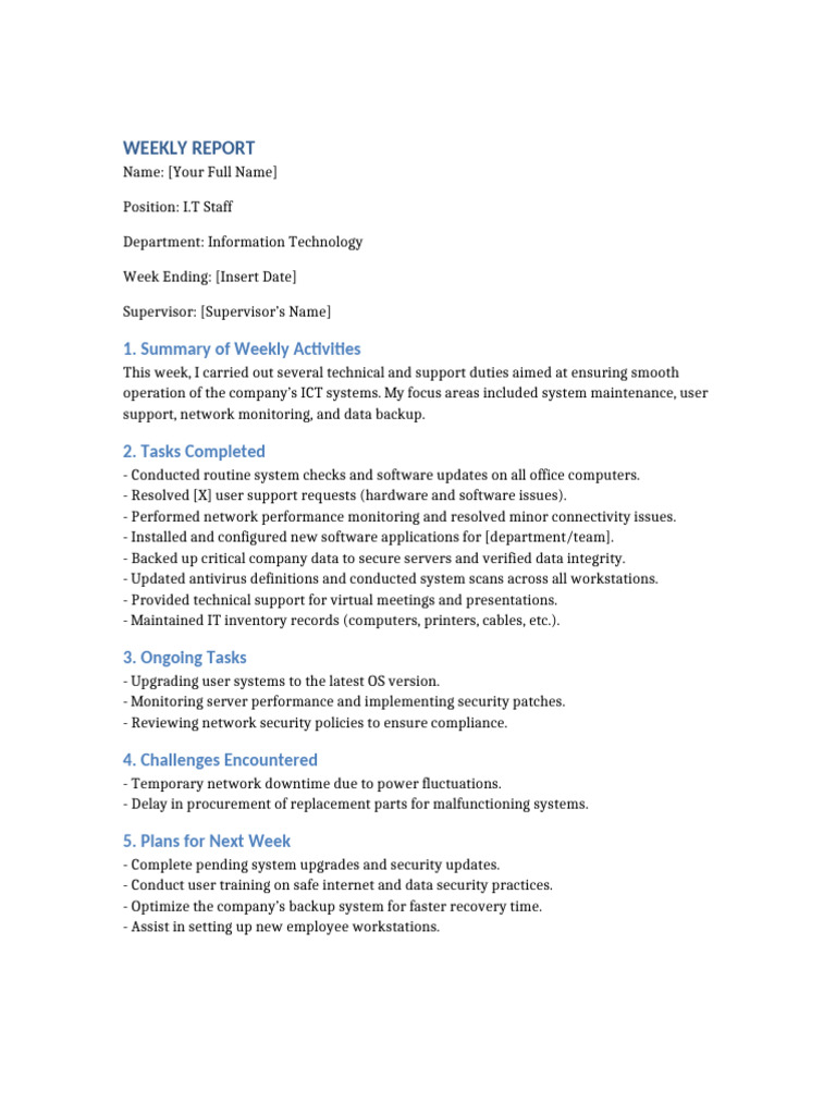 Weekly IT Staff Report | PDF
