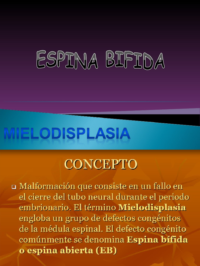Espina Bifida | PDF | Sistema nervioso