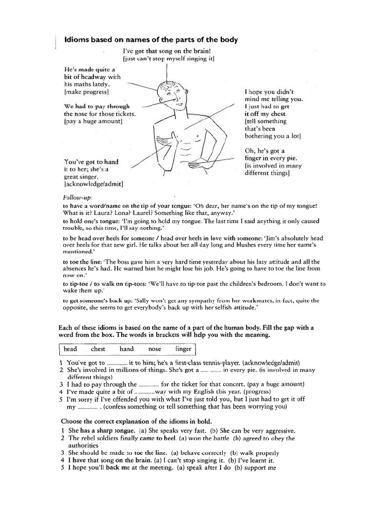 Body Idioms | PDF