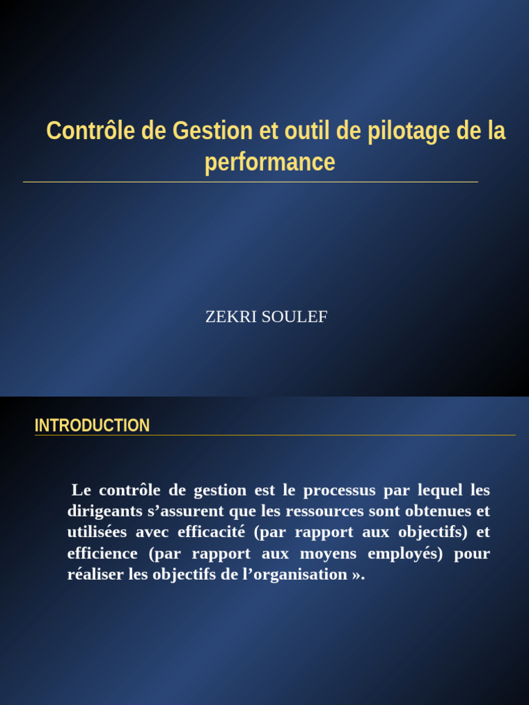 Contrôle de Gestion et Performance Organisationnelle | PDF | Budget ...