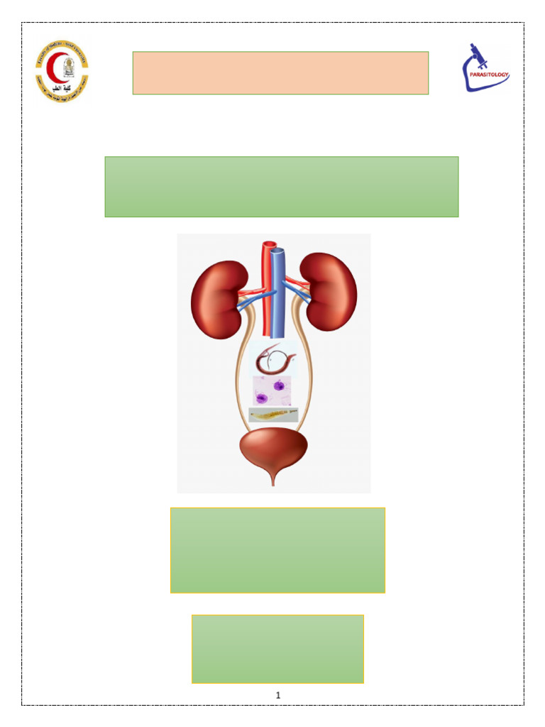 Parasitic Infections of the Renal System | PDF | Malaria | Plasmodium ...