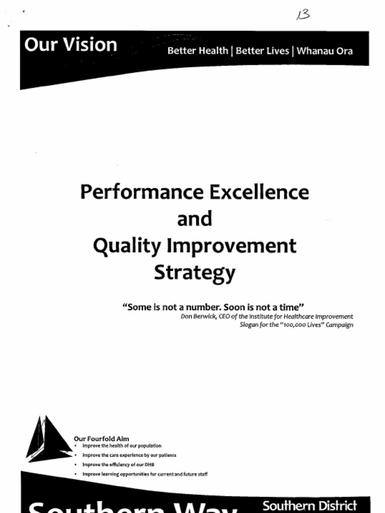 SDHB Quality Improvement Strategy | PDF