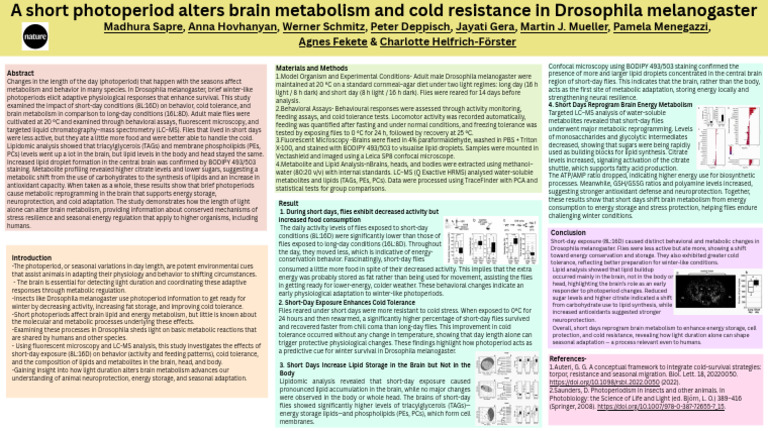A Short Photoperiod Alters Brain Metabolism and Cold Resistance in ...