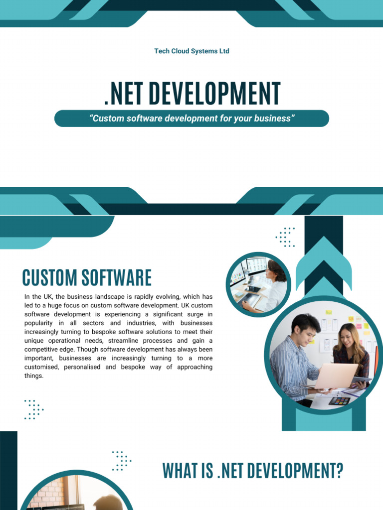 Custom Software Development Presentation | PDF
