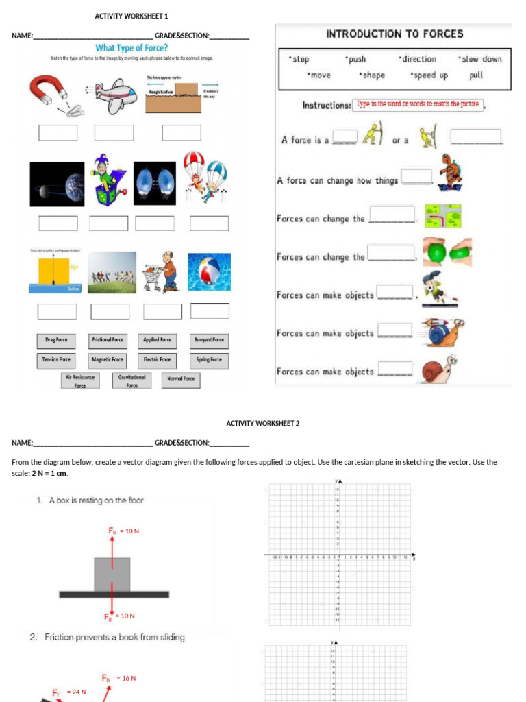 Activity Worksheet Force | PDF