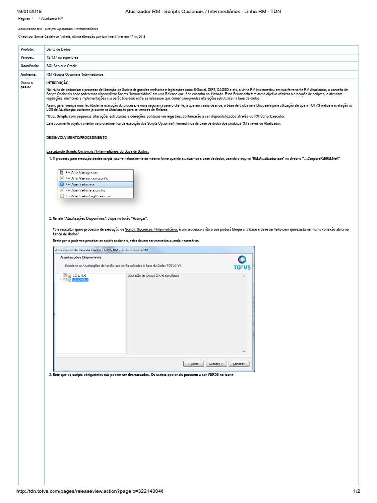 Scripts Opcionais no Atualizador RM | PDF | Bancos de dados | Linguagem ...
