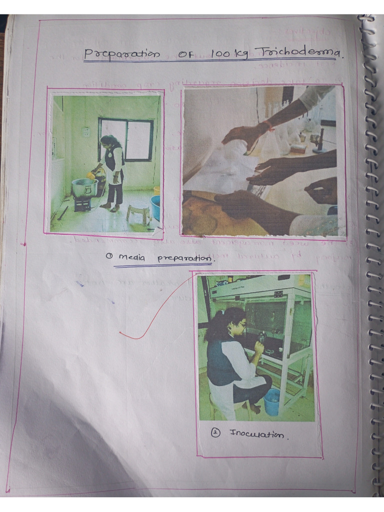 Production of 100 KG Trichoderma-1 | PDF