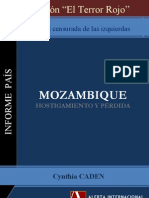 Mozambique: hostigamiento y pérdida