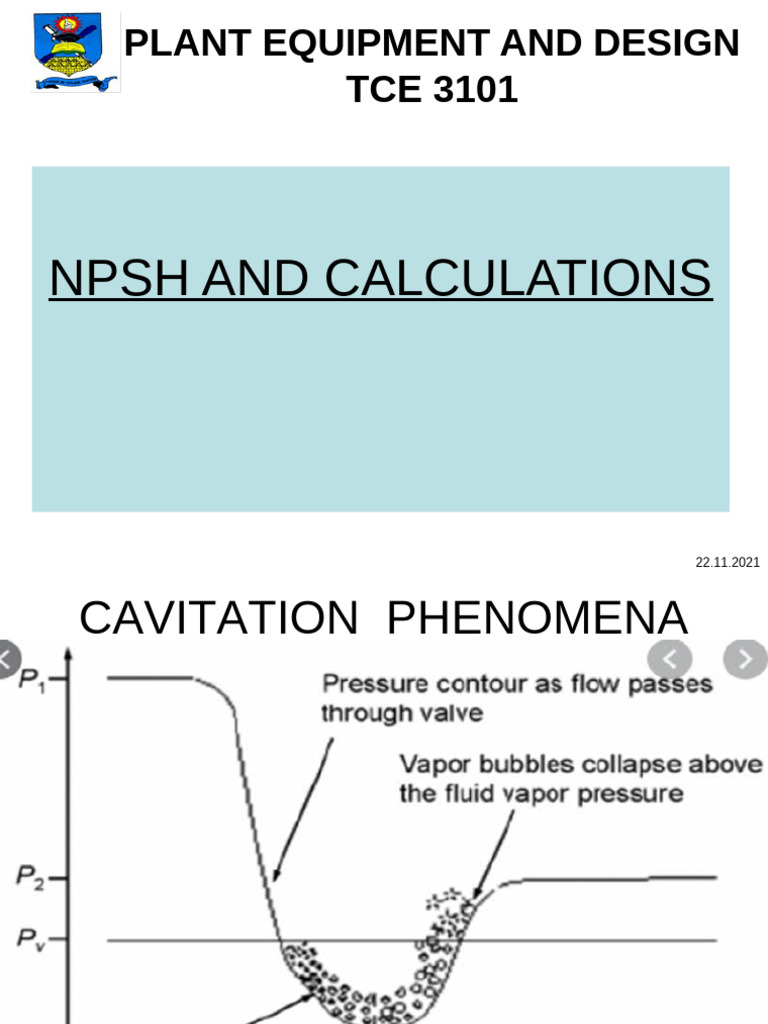 NPSH Calculations for Pump Design | PDF | Pump | Physical Quantities