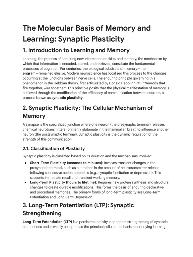 The Molecular Basis of Memory and Learning - Synaptic Plasticity | PDF ...