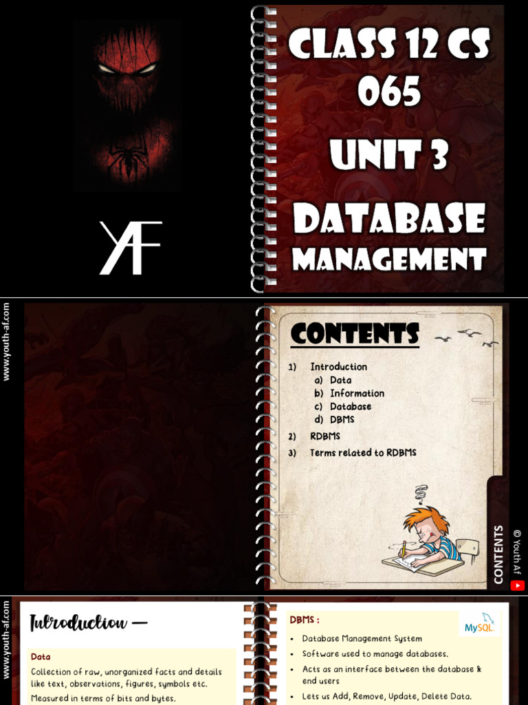 Class 12 Database Management Overview | PDF | Relational Database ...