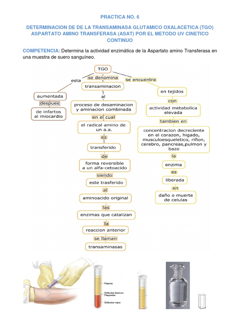 Determinación de TGO en Sangre | PDF | Transaminasa | Enzima