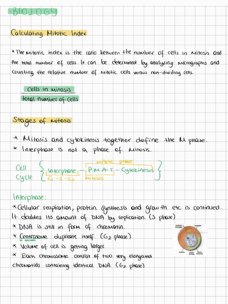 Biology 241031 184937 | PDF