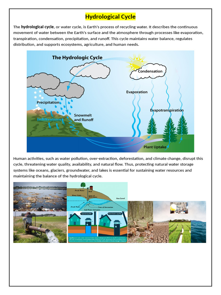 Understanding the Hydrological Cycle | PDF | Water Cycle | Water