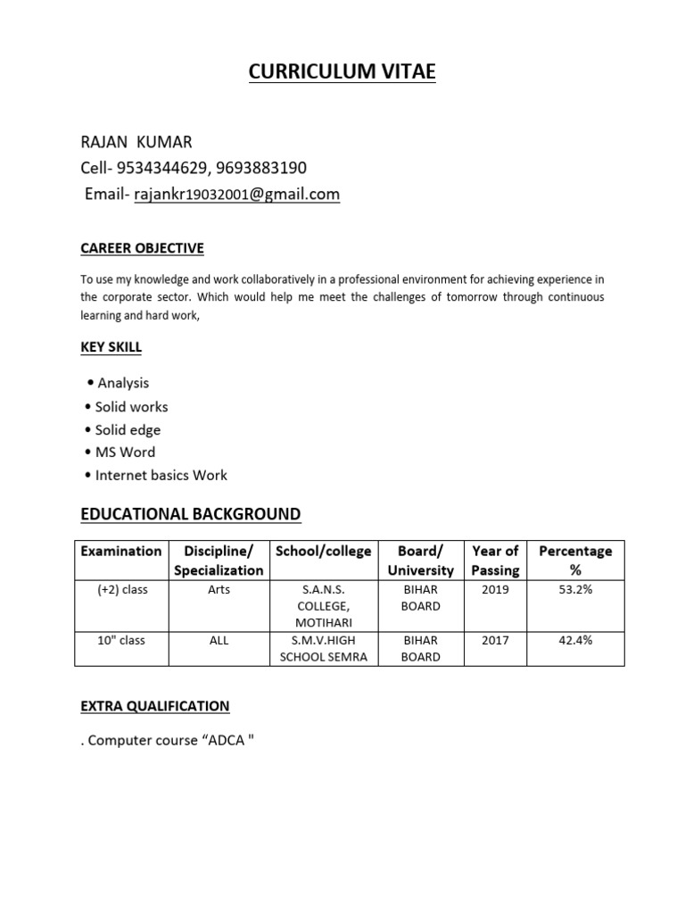 Rajan Kumar's Professional CV | PDF