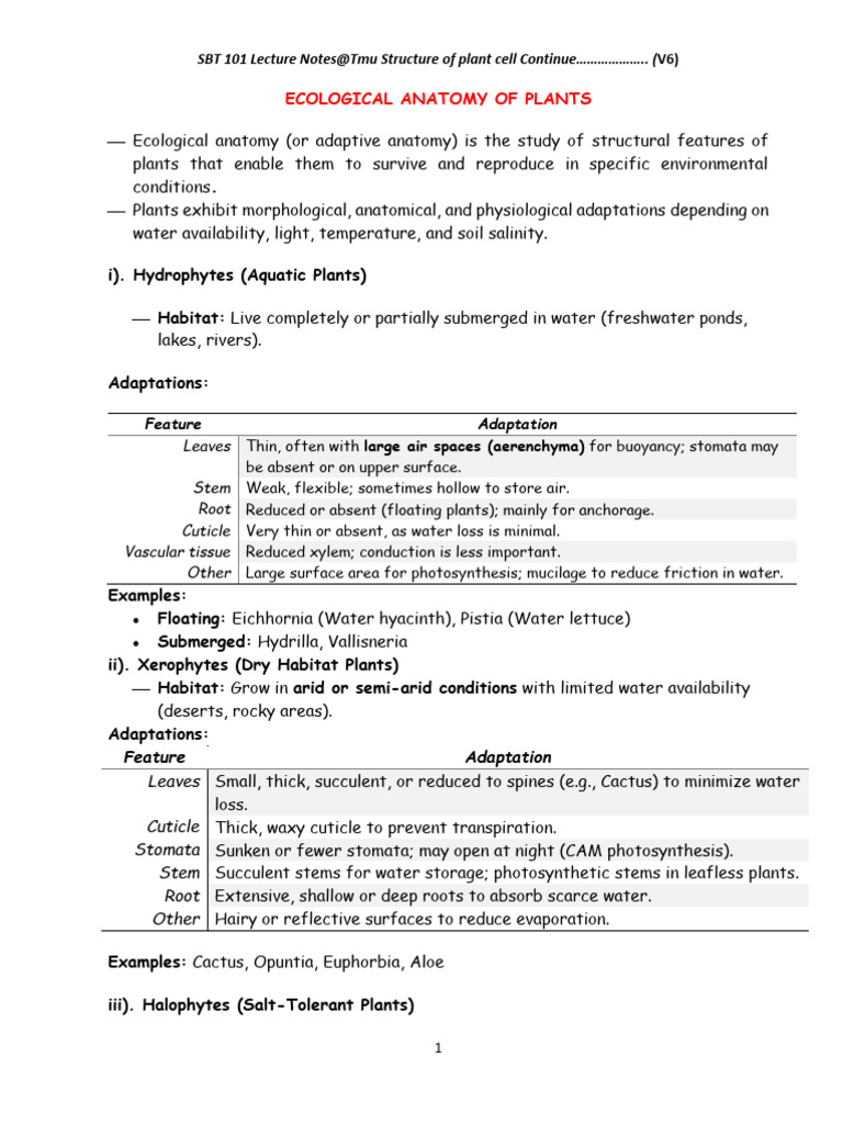 SBT 101 (v6) Ecology of Plant | PDF | Leaf | Root