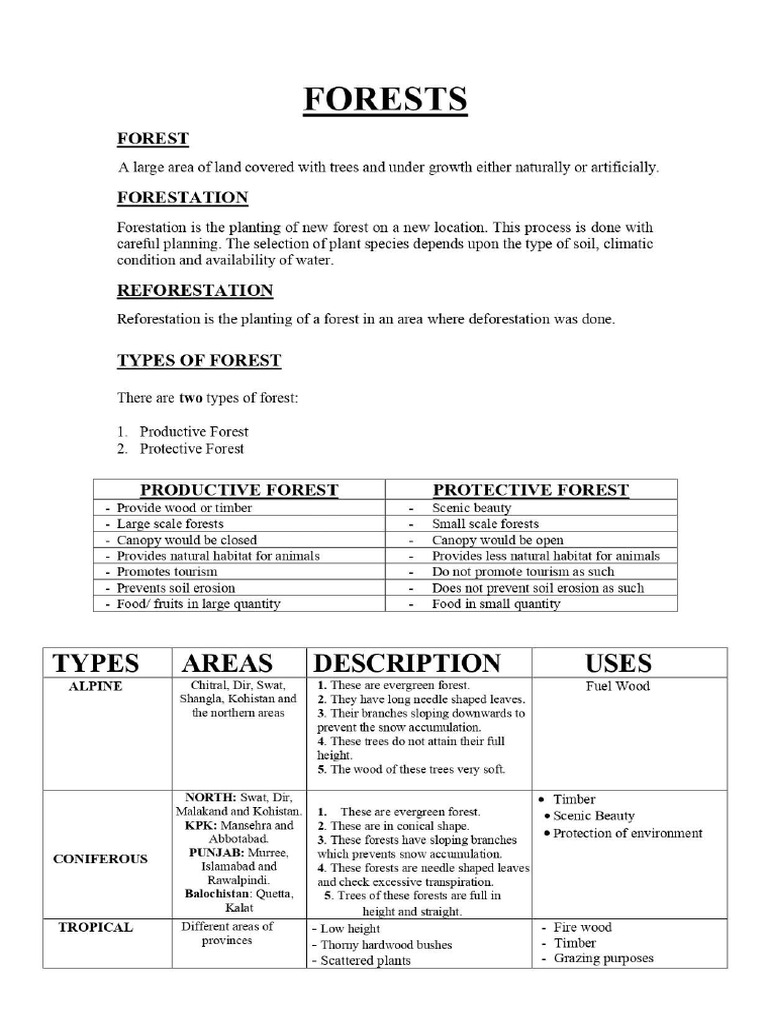 Forest (Notes) | PDF