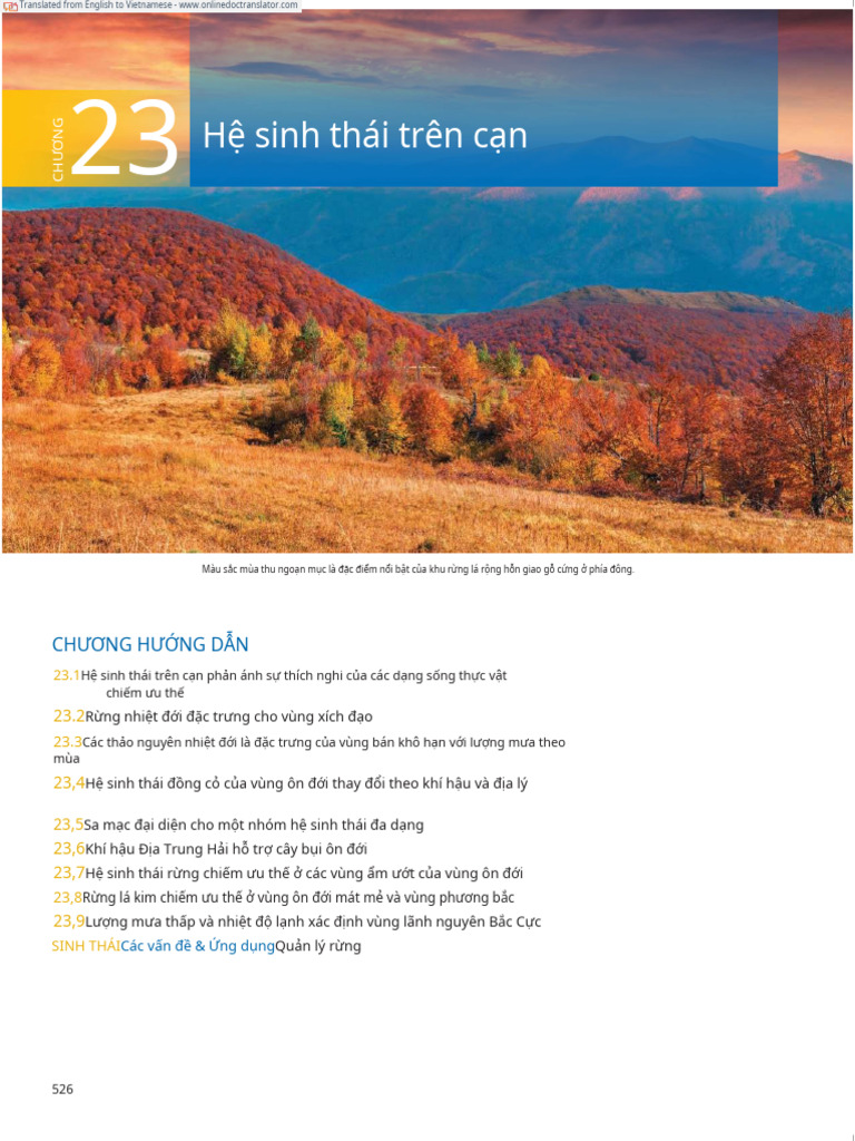 Sinh Thái Smith C23.en - VI | PDF