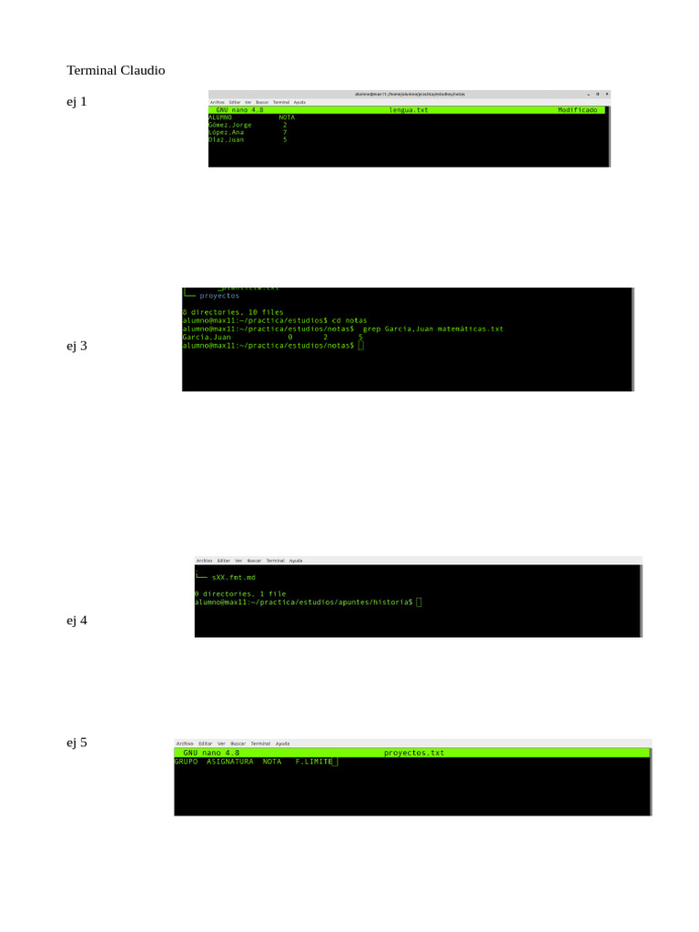Terminal Claudio 1 | PDF