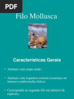 cf885854c45b8c605ab360cd33aafc66