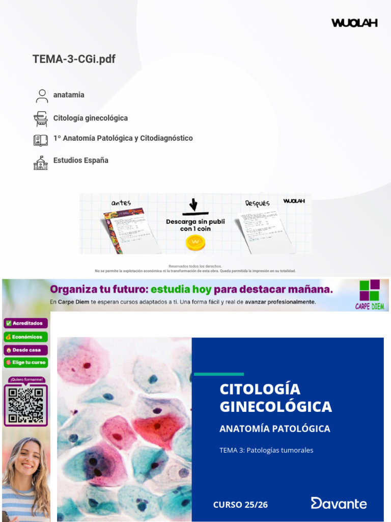 TEMA 3 CGi | PDF