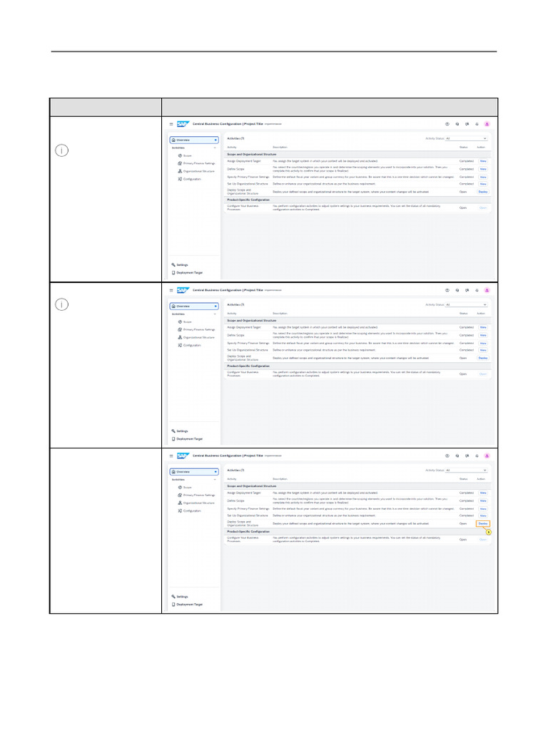 Deploy Scope and Organizational Structure | PDF