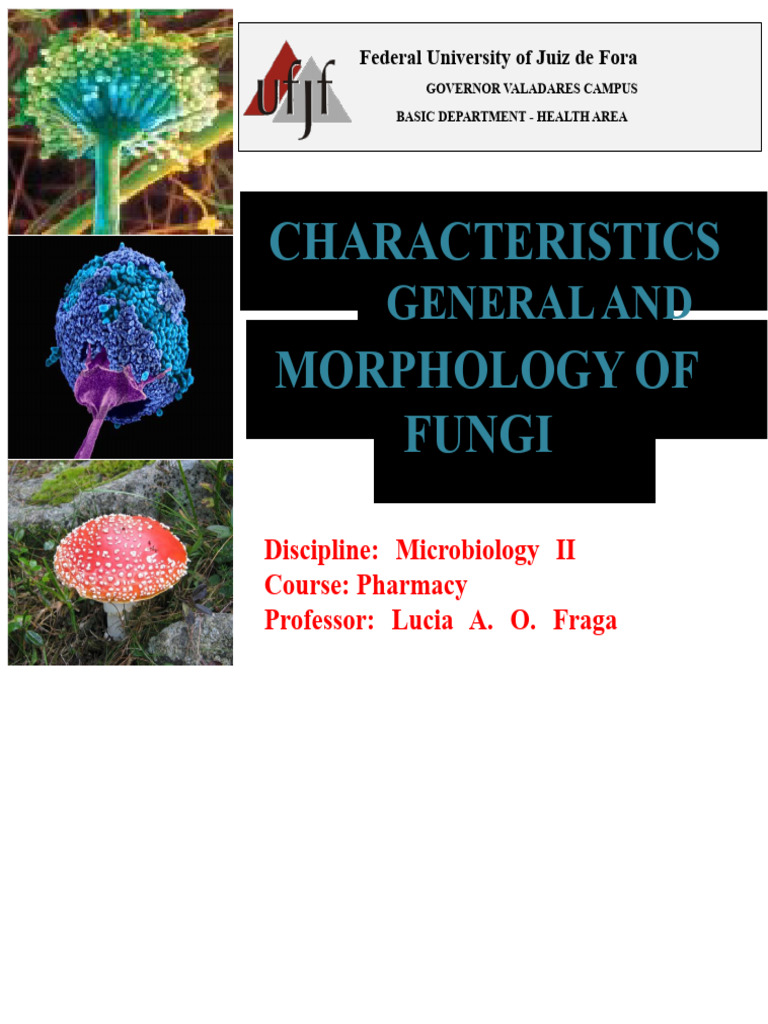 General Characteristics and Morphology of Fungi | PDF | Fungus | Infection