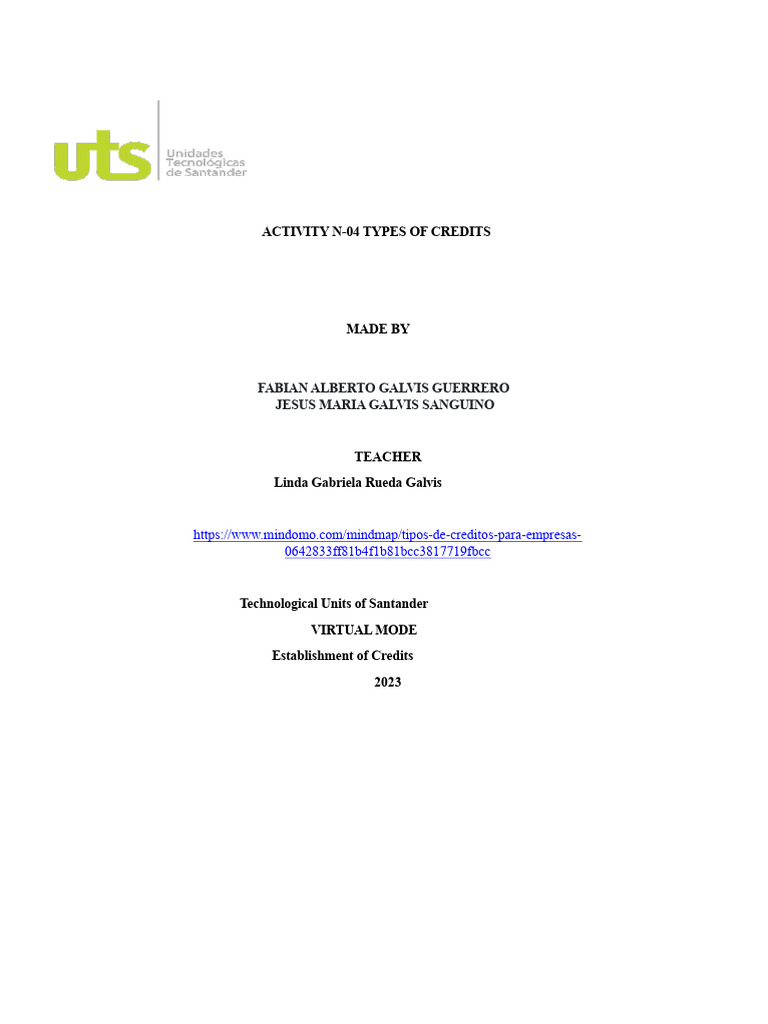 ACTIVITY N4 Types of Credits PDF | PDF