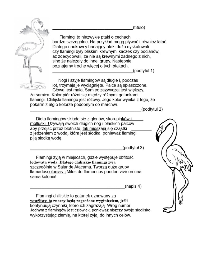przewodnik-po-flamingach-pdf