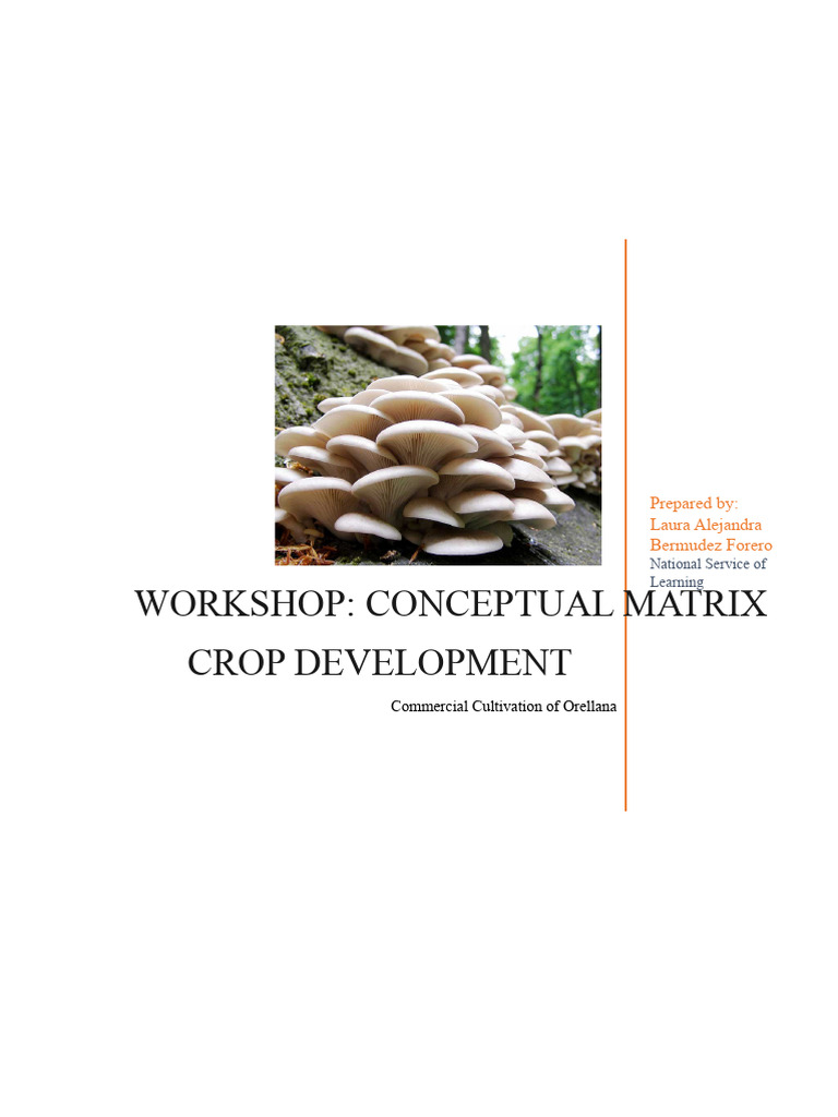 Workshop Conceptual Matrix Development of The Crop | PDF | Carbon ...