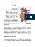 Cara Kerja Jantung