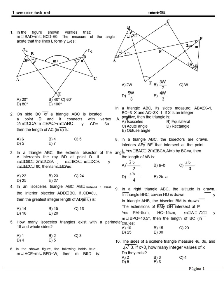 1 - Triangles Uni Homework | PDF | Triangle | Euclid