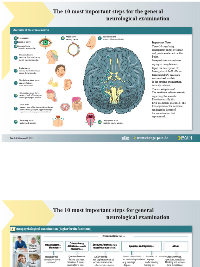Essential Steps for Neurological Exam | PDF | Vertigo | Human Head And Neck