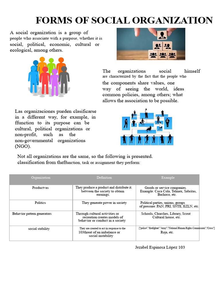 Types of Social Organizations Explained | PDF