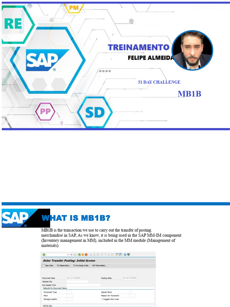 Training Sap MB1B | PDF