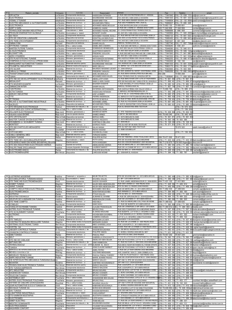 Lista Companii 1 | PDF