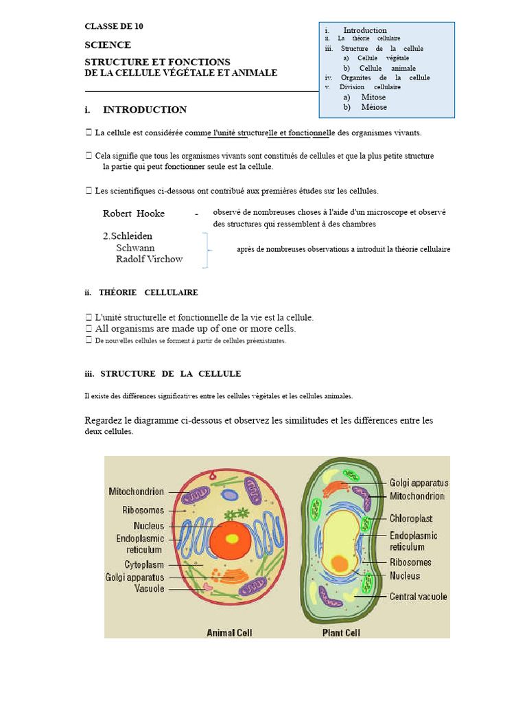 Structure et fonctions des cellules | PDF | Cellule (Biologie) | Méiose