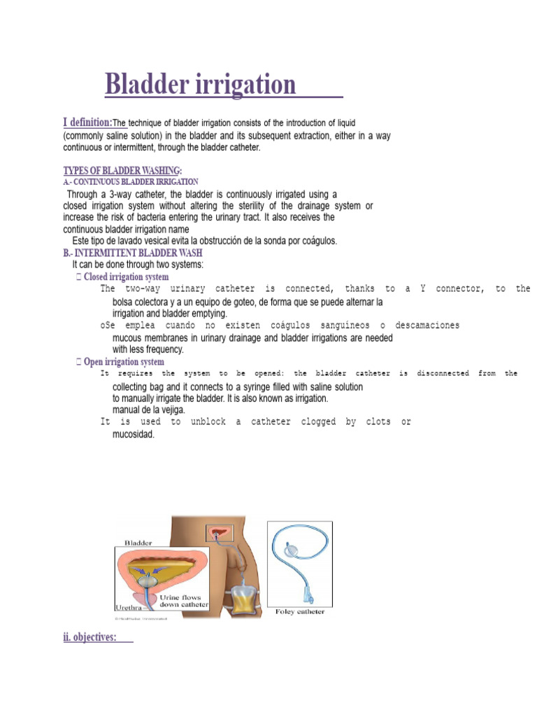 132652320-Bladder Irrigation | PDF | Urinary System | Genitourinary System