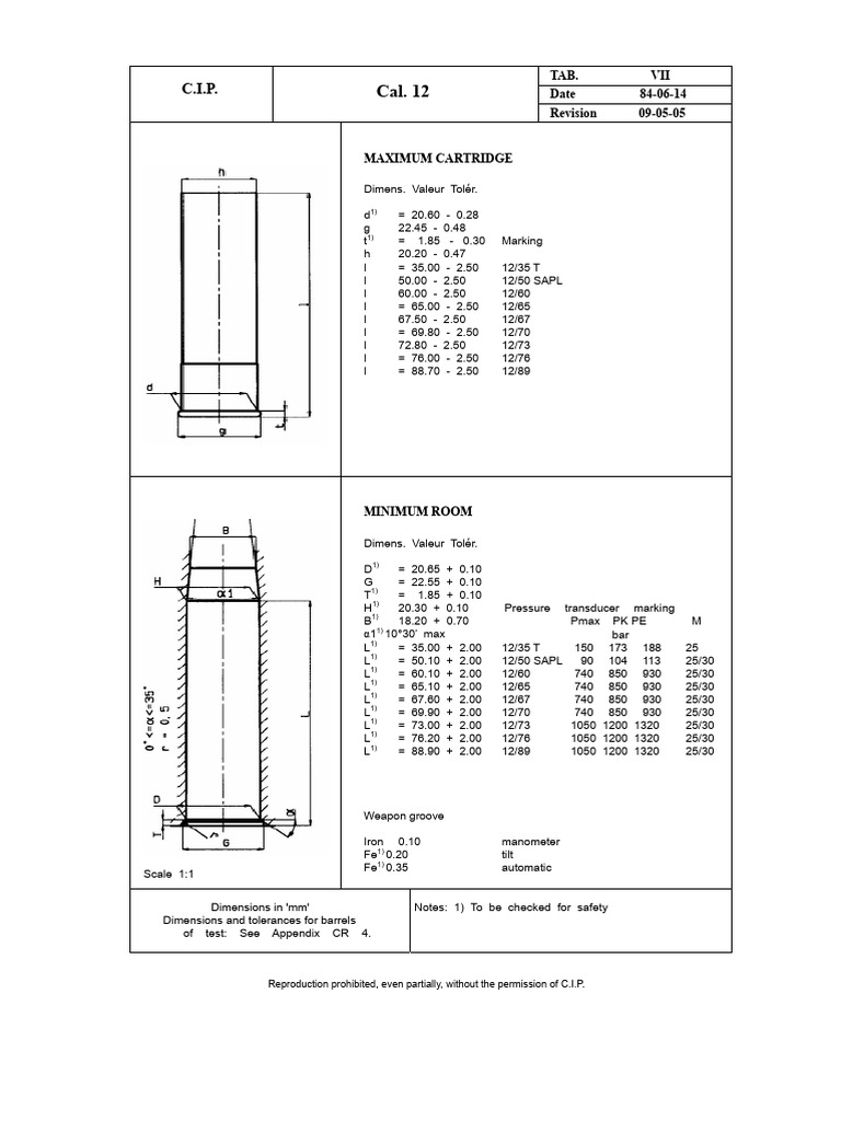 CIP 12 Mag | PDF | Projectiles | Flight