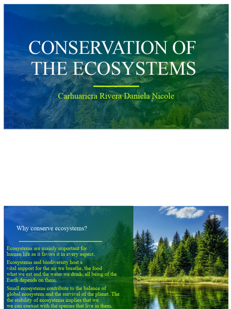 Importance of Ecosystem Conservation | PDF | Conservation Biology ...