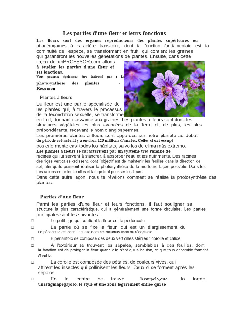 Parties et fonctions d'une fleur | PDF | Fleurs | Pollinisation