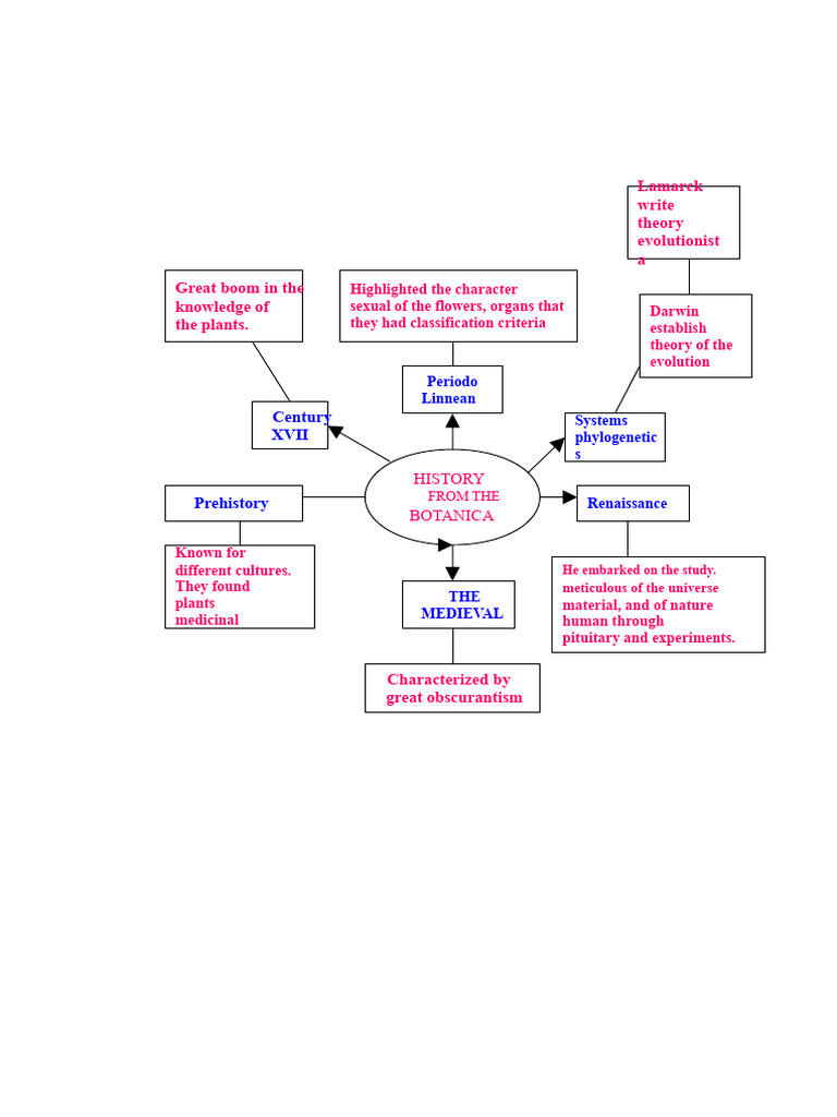 Botany Mind Map | PDF