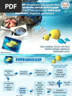 Download Biotek Nia by Nia Sasria Idris SN95533632 doc pdf