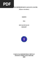 Download Sanca Batik by Nur Santie SN95533739 doc pdf