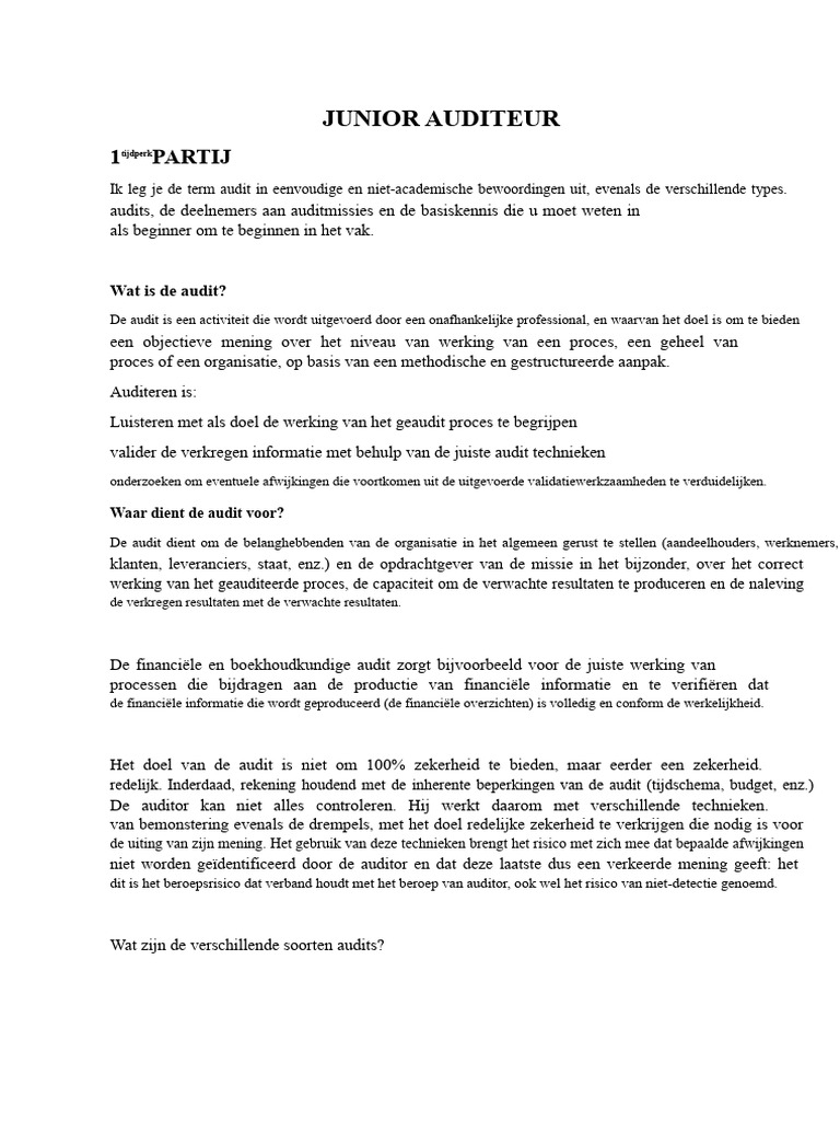 Junior Auditor | PDF