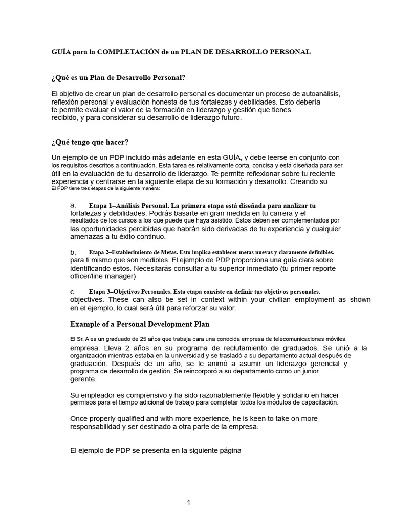 Plan de Desarrollo Personal - Ejemplo - Guía PDF | PDF | Liderazgo ...