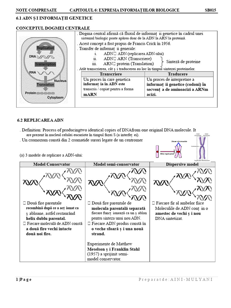 6 Note Comprimate Expresia Informației Biologice Sds 2 | PDF