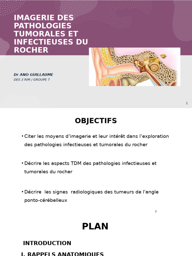 Imagerie des pathologies du rocher | PDF | Anatomie humaine | Système ...