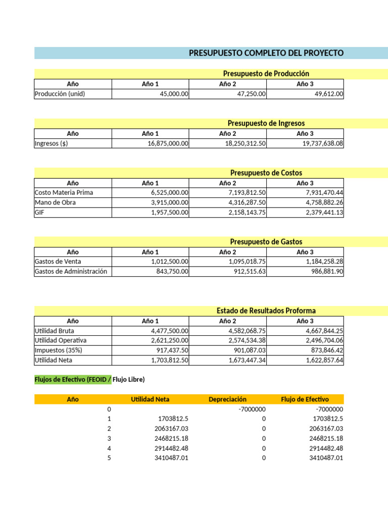 Presupuesto y Evaluación de Proyecto Financiero | PDF | Presupuesto ...