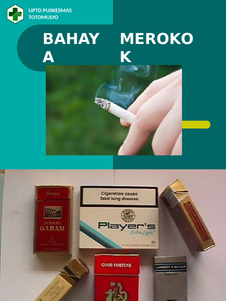 Bahaya Rokok | PDF